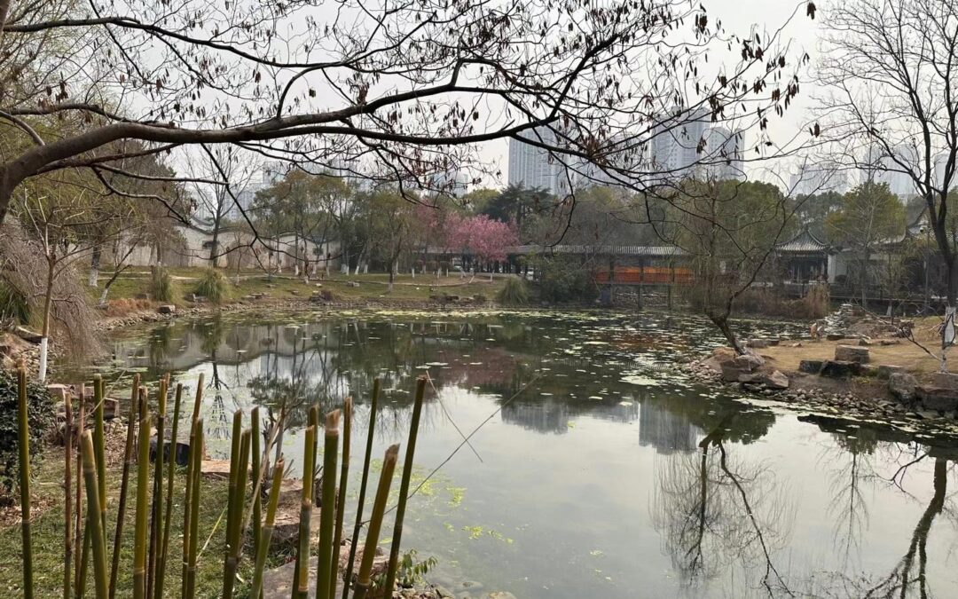 Yehu Lake