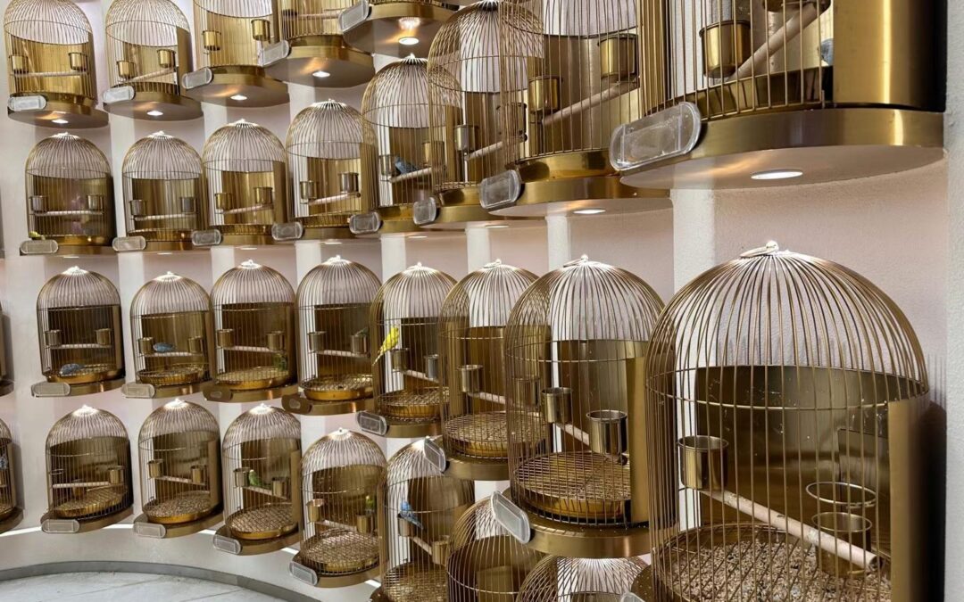 Shopping Dream Plaza
