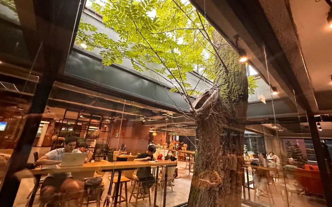 Huiyin café